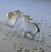 Lamb Sheep Stud Earrings Polished Sterling Silver Handmade in USA