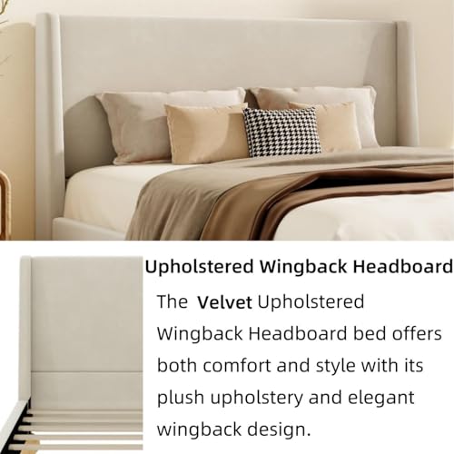 Image of Merax Velvet Queen Size Bed Frame with Wingback Headboard, Solid Wood Upholstered Platform with Round Legs, No Box Spring Needed, Beige