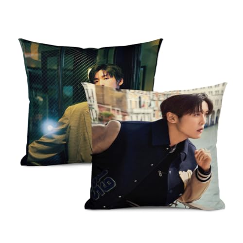 �N�b�V�����J�o�[ �ڍ�-�@ �߂���-��� 2���Z�b�g �\�t�@�[�p �������J�o�[ �w���� �������J�o�[ ������� �߂� �A�C�h�� �̎� �o�D �i45x45cm�j