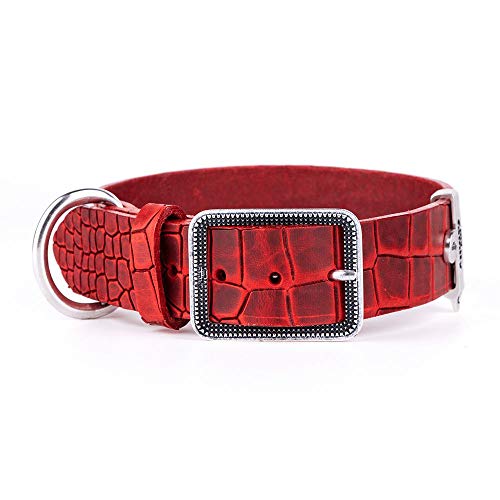 MyFamily Adjustable Dog Collar in Genuine Italian Made Leather, Antique Silver Metallic Finish, Comfortable and Durable, Handmade, Tucson Collection