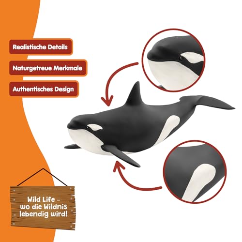 schleich WILD LIFE | Orka 14807 | Spielfigur ab 3 Jahren | 10 x 20 x 7 cm – Ansicht 3