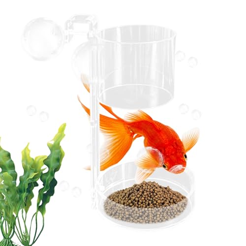 Alimentador De Peces - Anillo De Alimentación De 6,42 Pulgadas | Dispensador Acrílico De Doble Uso, Contenedor De Alimentos Antidispersión para Tortugas Y Camarones Betta | Cuenta con Funcion