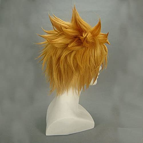 Roxas Cosplay Wig Hair Role Play Halloween Costume Party Wigs + Wig Cap