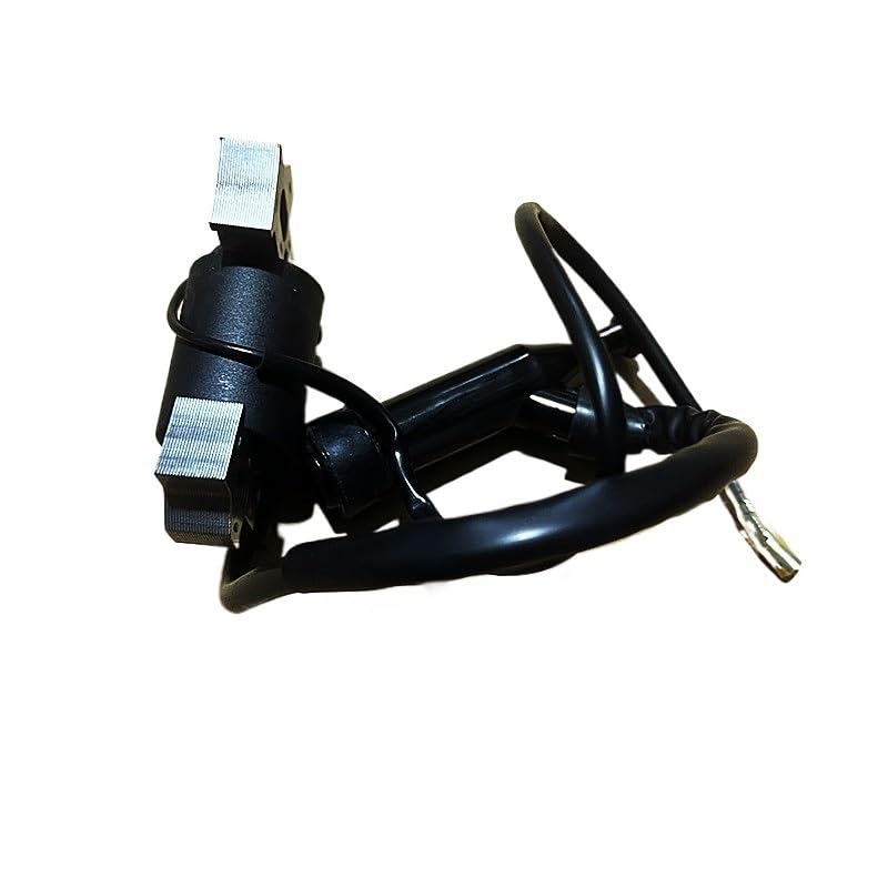 Potencia de Bobina Encendido Modelo 10K RPM Compatible con Motor Gasolina Carreras Kart Rendimiento 163CC 196CC 212CC 224 263