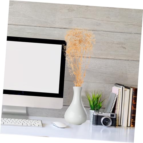 Bouquet de flores secas gypsophila 120g beige decorativo miniatura 7