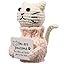 Cat–You Are Pawsome