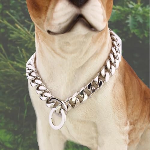 Collier pour chien en acier inoxydable de 22 pouces robuste et durable - 4