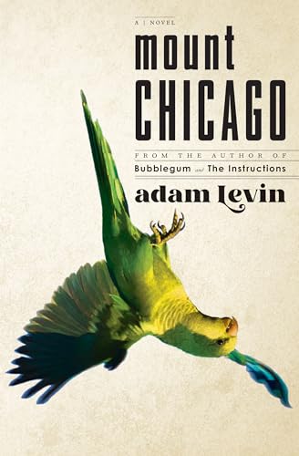 Mount Chicago: A Novel view 2