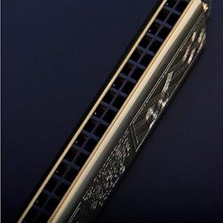 KMDSM Harmonica, Harmonica Tremolo 21 trous, jouant d'un piano personnalisé, Do (Color : Gold) – Image 4