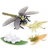 Small manufacture image 22