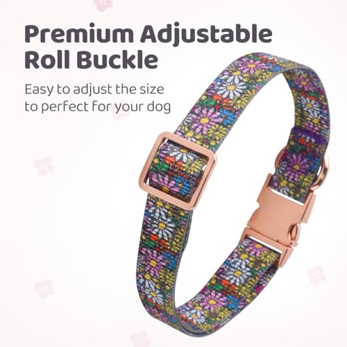 Collar reflectante para perro QQPETS ajustable de nailon miniatura 3
