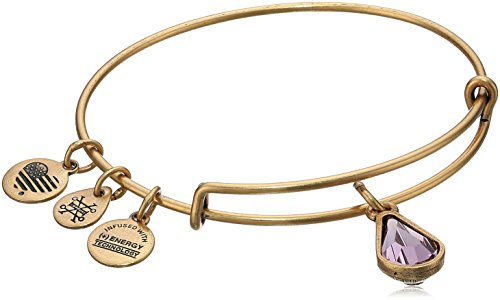 Alex and Ani Birth Month Charm with Swarovski Crystal Bangle Bracelet