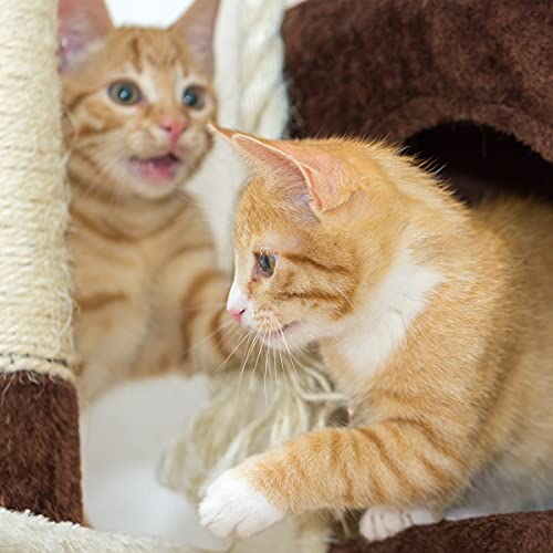 Torre para Gatos de 4 Niveles con Postes de Sisal Marrón miniatura 5