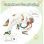 Catnip Chew Toys for Cats, 12 Pack Cat Toys with Silvervine Sticks, Natural Silvervine Stick Cage Balls & Bell Balls for Indoor Cats - Image 6