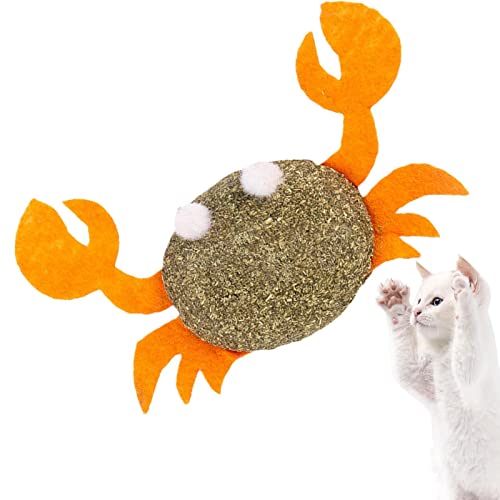 Brinquedo para mastigar gato, Brinquedo para gato forma fofa, Brinquedo gato interativo para gatos i