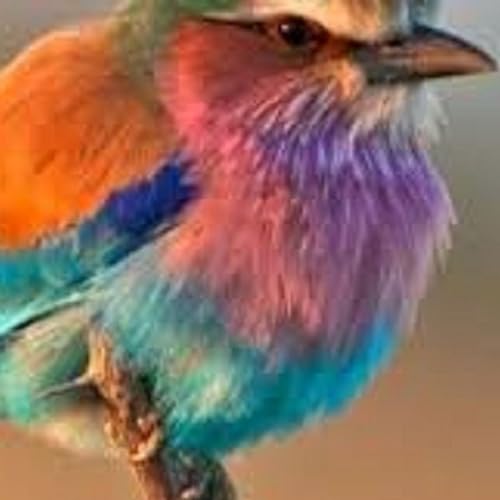 Meditaci&oacute;n corta