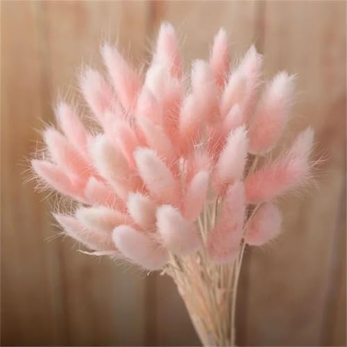 Pampas Grass Decor Tall 60Pcs 17.72 Inch Bunny Tails
