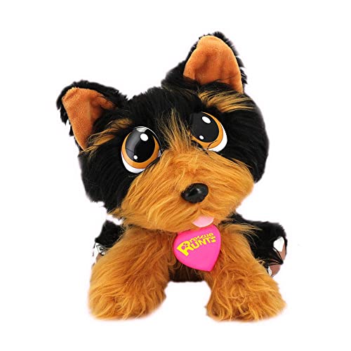 Adota Pets Coockie com Acessórios MultiKids - Br1067