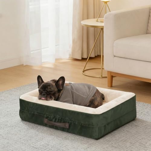 Renvix Medium Orthopedic Cat Bed, Waterproof Dog Sofa Bed with Removable Washable Cover, Soft Egg Foam Pet Bed, Non-Slip Bottom and Four-Sided Bolster Cushion（Pitch Green, 61x46x15cm）