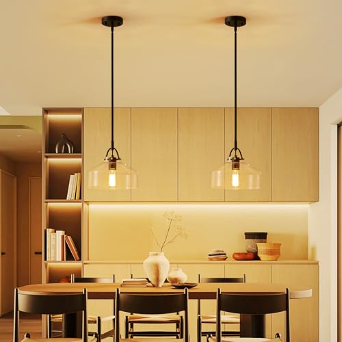 Image of WUZUPS Chandelier Rustic Farmhouse Industrial Round Ceiling Pendant LED Light Fixture with Clear Glass Shades for Dining Room Kitchen Island Foyer Entryway, H 9.4 inch x W 10.6 inch, E26 Base, Black
