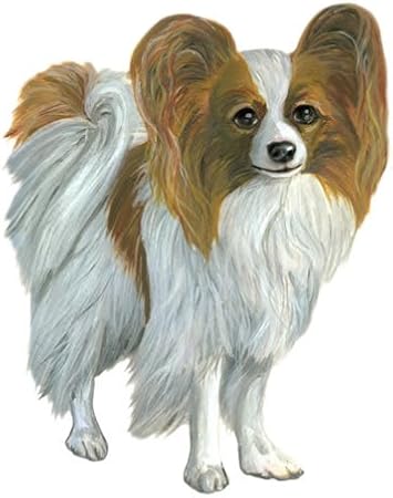 Amazon コットンエンブレム パピヨン はがきサイズ シュワンツ 服 アクセサリー 通販