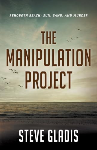 The Manipulation Project view 2