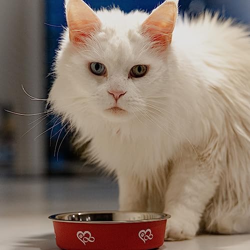 Dingo Futternapf Katzenapf Edelstahl rutschfest Napf für Katze Bonita 0,27 L Ø 17 cm Fressnapf Rot 14481
