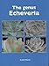 The Genus Echeveria