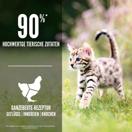 Orijen Kitten | Doppelpack | 2 x 340 g | Alleintrockenfutter für Katzen | Kann dabei helfen Kitten optimal zu versorgen | Enthält 15 frische oder rohe Zutaten | Mit Geflügel