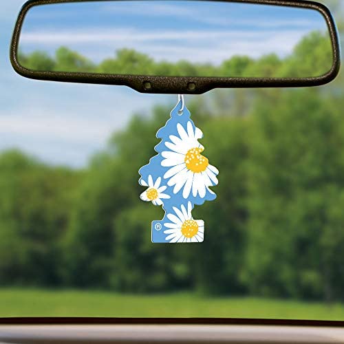 Image of LITTLE TREES Air Fresheners Car Air Freshener. Hanging Tree Provides Long Lasting Scent for Auto or Home. Daisy Fields, 24 Air Fresheners