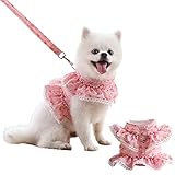 PUMYPOREITY 2 Pack Dog Dress Harness Vest with Leash, Cute Puppy Harness Leash Set, Pet Flower Outfi