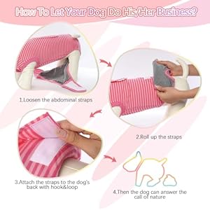FUAMEY Recovery Suit for Dogs After Surgery,Soft Breathable Dog Bodysuit E-Collar & Cone Alternative Surgical Suit,Male Female Dog Neuter Spay Suits Anti Licking Wounds Onesie Rose Stripes XS FUAMEY Recovery Suit for Dogs After SurgerySoft Breathable Dog Bodysuit E Collar Cone Alternative Surgical SuitMale Female Dog Neuter Spay Suits Anti Licking Wounds Onesie Rose Stripes XS
