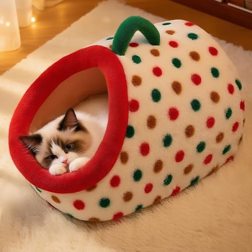 [JUI3N]  ݌v1 xbh h[^  ybgnEX ~ 􂦂 ӂӂ  ^ Lp 킢 p I[V[Y XL NbVt  ~ ybgxbh ۉ ΍ ӂӂ }bg @\ ybgNbV