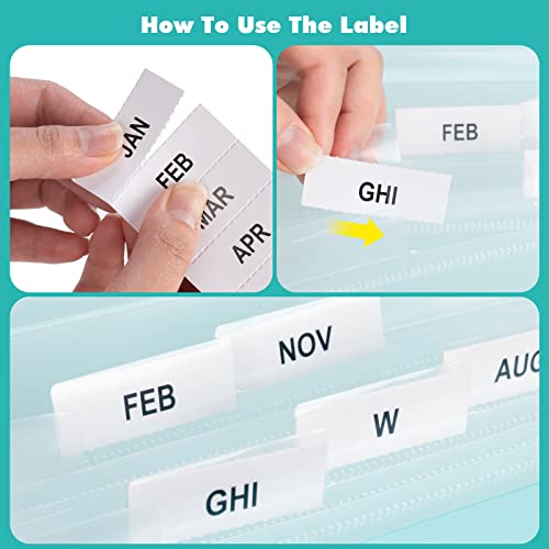 Expanding File Folder, 13 Pockets Accordion File Organizer, Large Capacity File Organizer For Letter Size / A4 Paper Light Green #TOP3