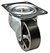 Swivel Plate Cstr, Cast Iron, 4 in, 450 lb.