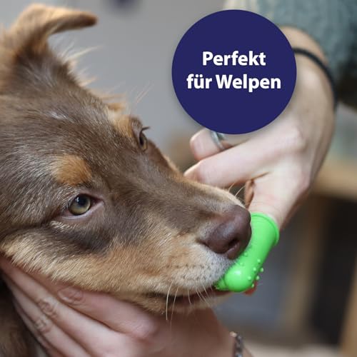Canosept Zahnbürste für Hunde (3 Stück) – Zahnbürste – Plaque Zerstörer – frischer Atem – Reinigung und Hygiene – gegen Zahnstein