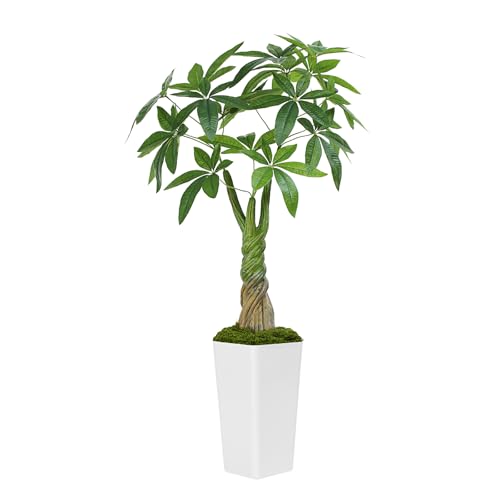 Keeplush パキラ 多幸の木 120cm