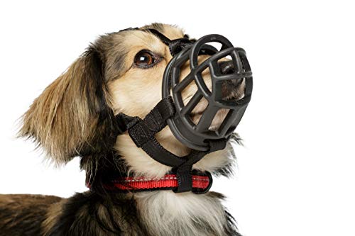 BASKERVILLE Ultra Dog Muzzle- Black Size 1, Perfect for Extra Small Dogs, Prevents Chewing and Biting, Basket allows… - Image 5