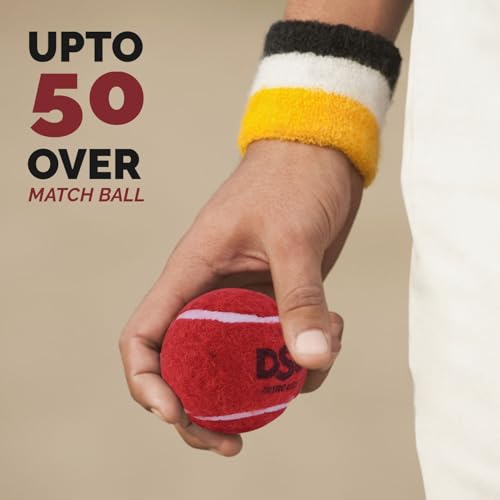 Image of DSC Nitro Light Leather Cricket Ball (Red) Pack of 6