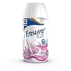 15 x Ensure Plus Fruits of The Forest 200 Milliliter