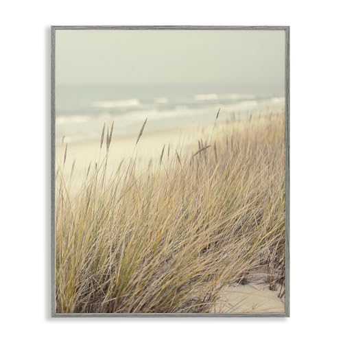 Beach Dreams Sea Grass Coastal, 24 x 30 Inch Framed Giclée Print by Stupell Industries - Used condition - US$88.24