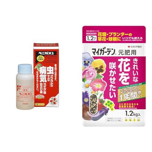 yZbgzZFw| EEۍ xjJX 30ml+엿 }CK[f p 1.2kg