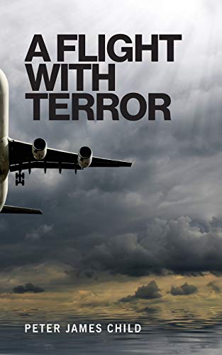 A Flight with Terror view 2