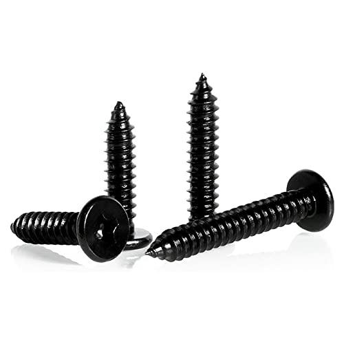 Tornillos autorroscantes Phillips plana 100 uds M2.9x19mm miniatura 1