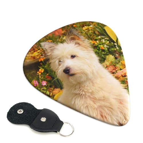 EFXeBȞ 킢GLM^[sbN lwysbN 6 pbN 0.71mm