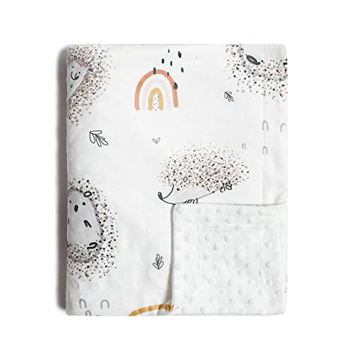 Image of insular Baby Blanket for Boys Girls Soft Plush Minky with Dotted Backing, Double Layer Receiving Blanket for Stroller Crib Newborn Toddler Bed Blanket 42 x 30 in, Rainbow Hedgehog