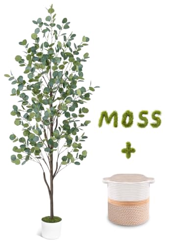 Waipfaru 6FT Fake Eucalyptus Tree with Natural Wood Trunk Artificial Eucalyptus Tree with Planter & Basket Tall Faux Plant for Living Room Office Bedroom Indoor Outdoor Decor