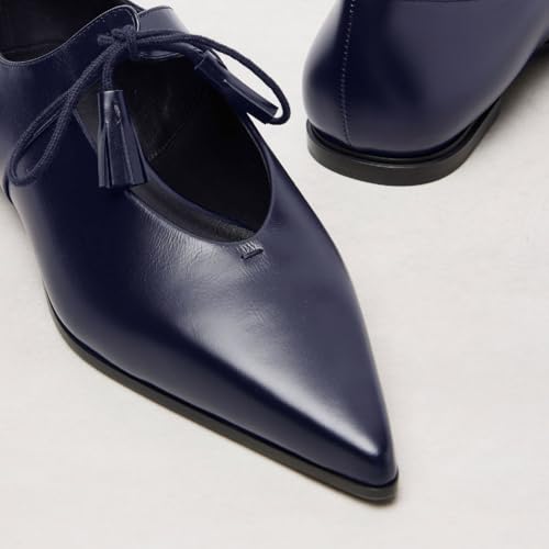 Women's Closed Pointed Toe Ballet Flats Chic Tassels Lace Up Flat Shoes Comfort Casual Dressy Flats for Women3