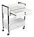 Supreme Medical Dental Mobile Utility Cabinet & Cart with Steel Frame and Two Drawer With One lockable Drawer