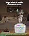 humidificador de 2 L de vapor frío con boquilla bidireccional Imagen de humidificador de 2 L de vapor frío con boquilla bidireccional